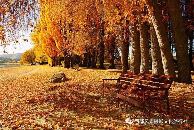 拯救可爱小公主